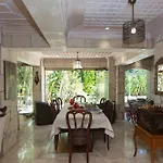 Petunya Boutique 3* İçmeler