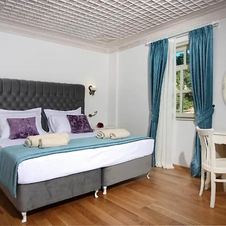 Hotel Petunya Boutique 3*