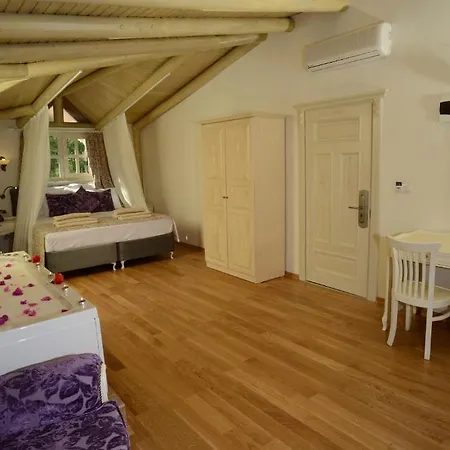 Hotel Petunya Boutique 3*