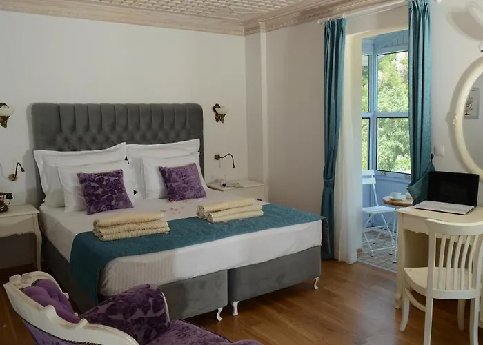 Hotel Petunya Boutique