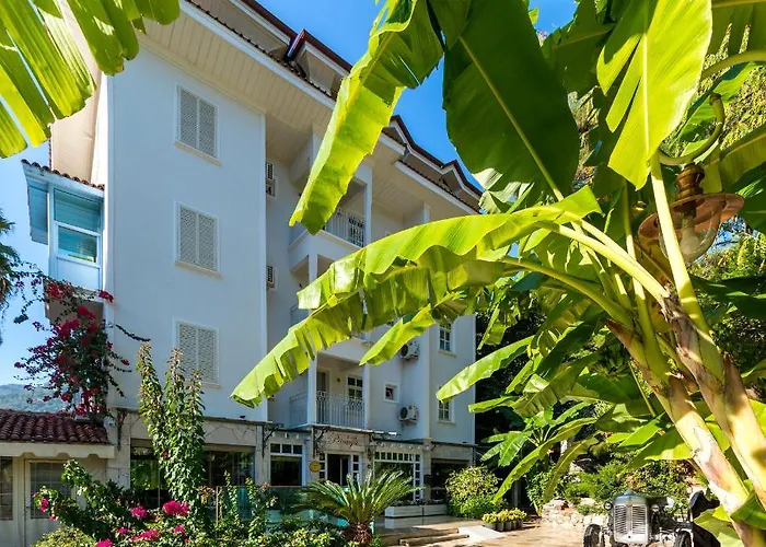 Hotel Petunya Boutique 3*
