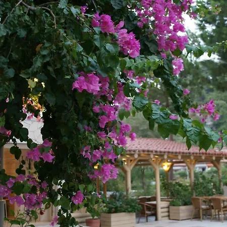 Petunya Boutique Hotel 3*