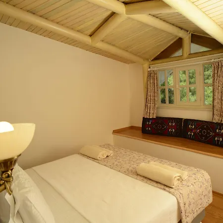 Petunya Boutique 3* İçmeler