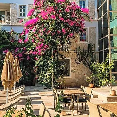 Petunya Boutique 3*