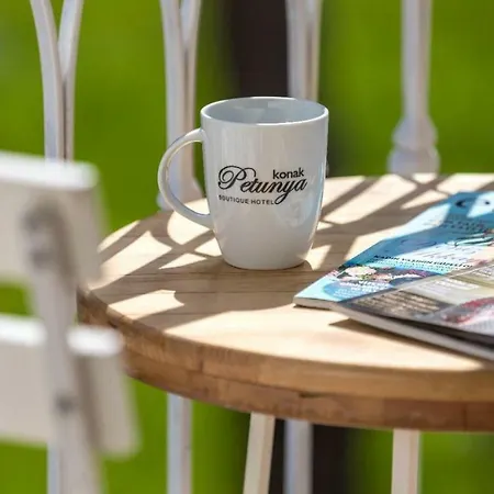 Petunya Boutique 3* İçmeler