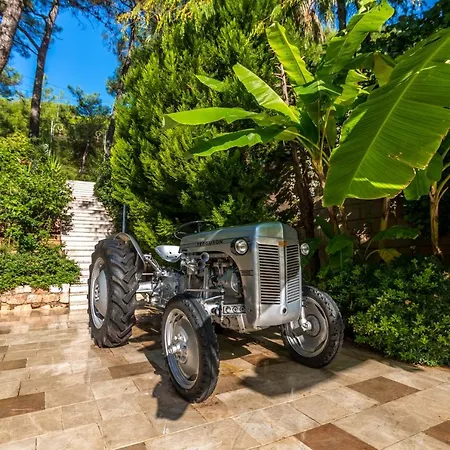 Hotell Petunya Boutique 3*