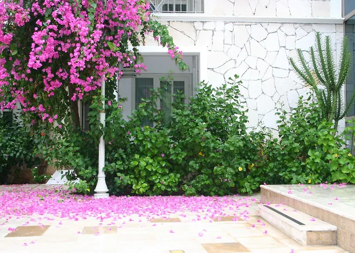 Otel Petunya Boutique İçmeler