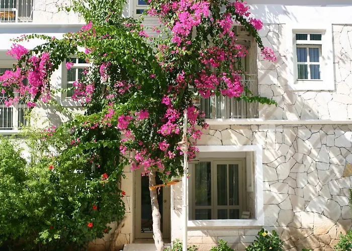 Otel Petunya Boutique İçmeler