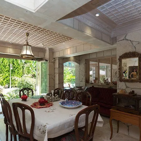 Petunya Boutique 이츠멜레르