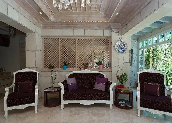 Petunya Boutique מלון