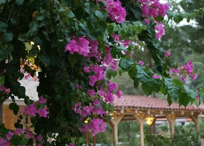 Petunya Boutique מלון 3*